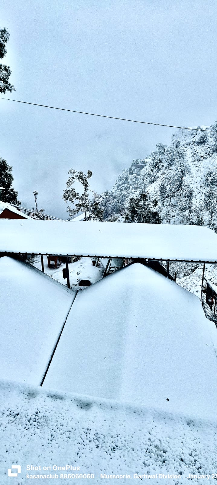 WhatsApp Image 2026-02-18 at 10.45.54 AM