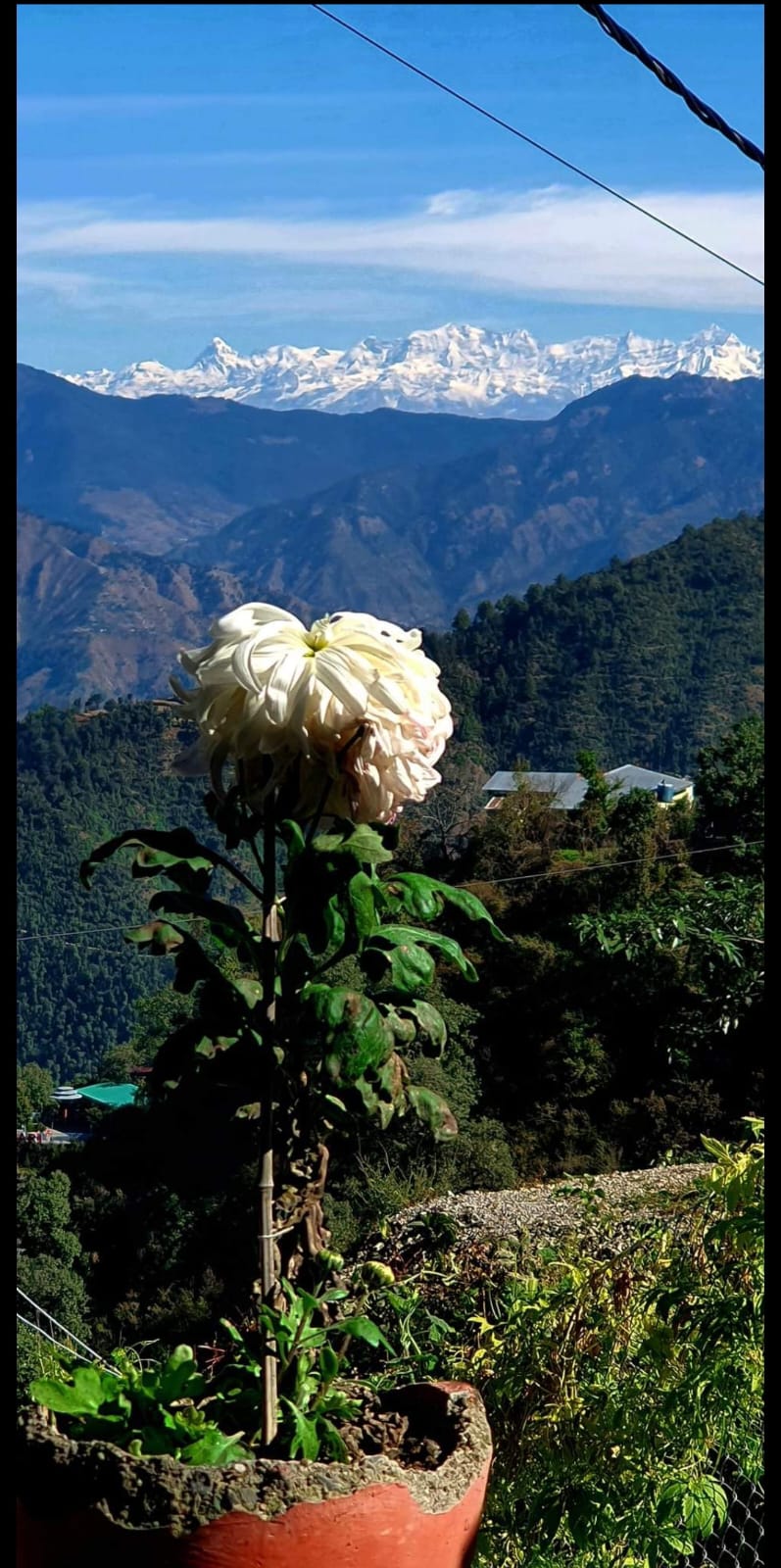 WhatsApp Image 2026-02-18 at 11.02.37 AM